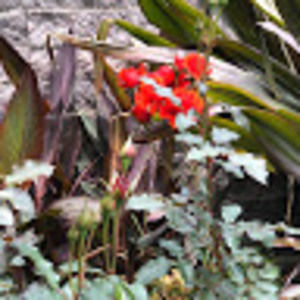 Meet your Posher, Connie